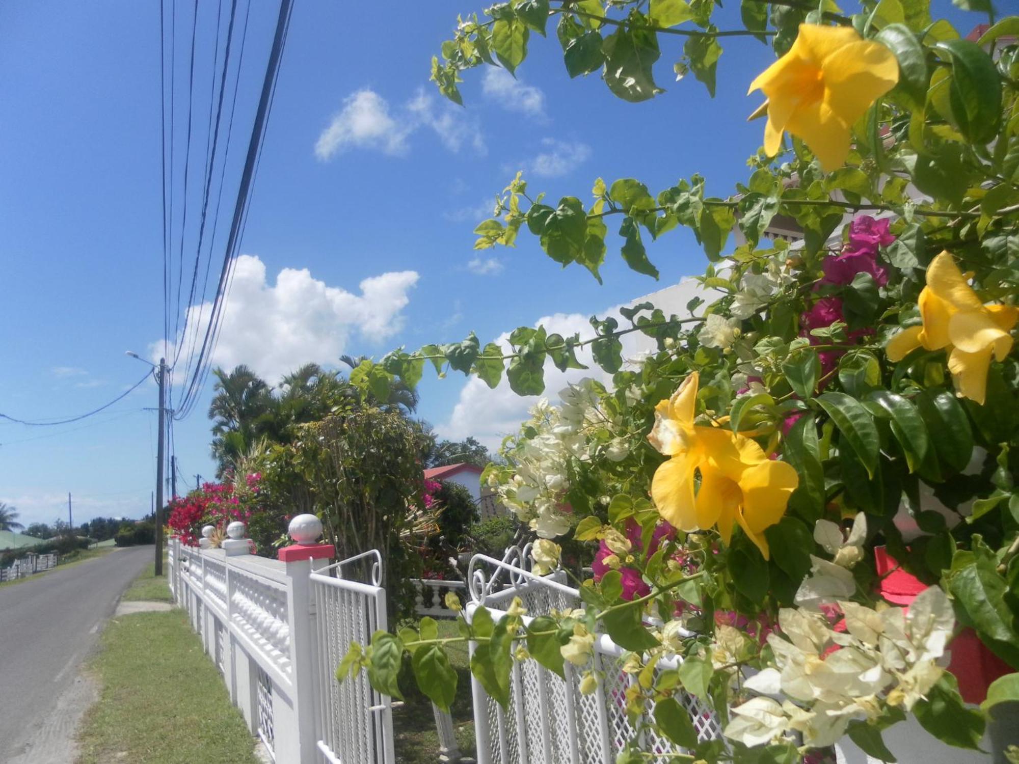 La Saisonniere Relais Hotel Le Gosier  Luaran gambar